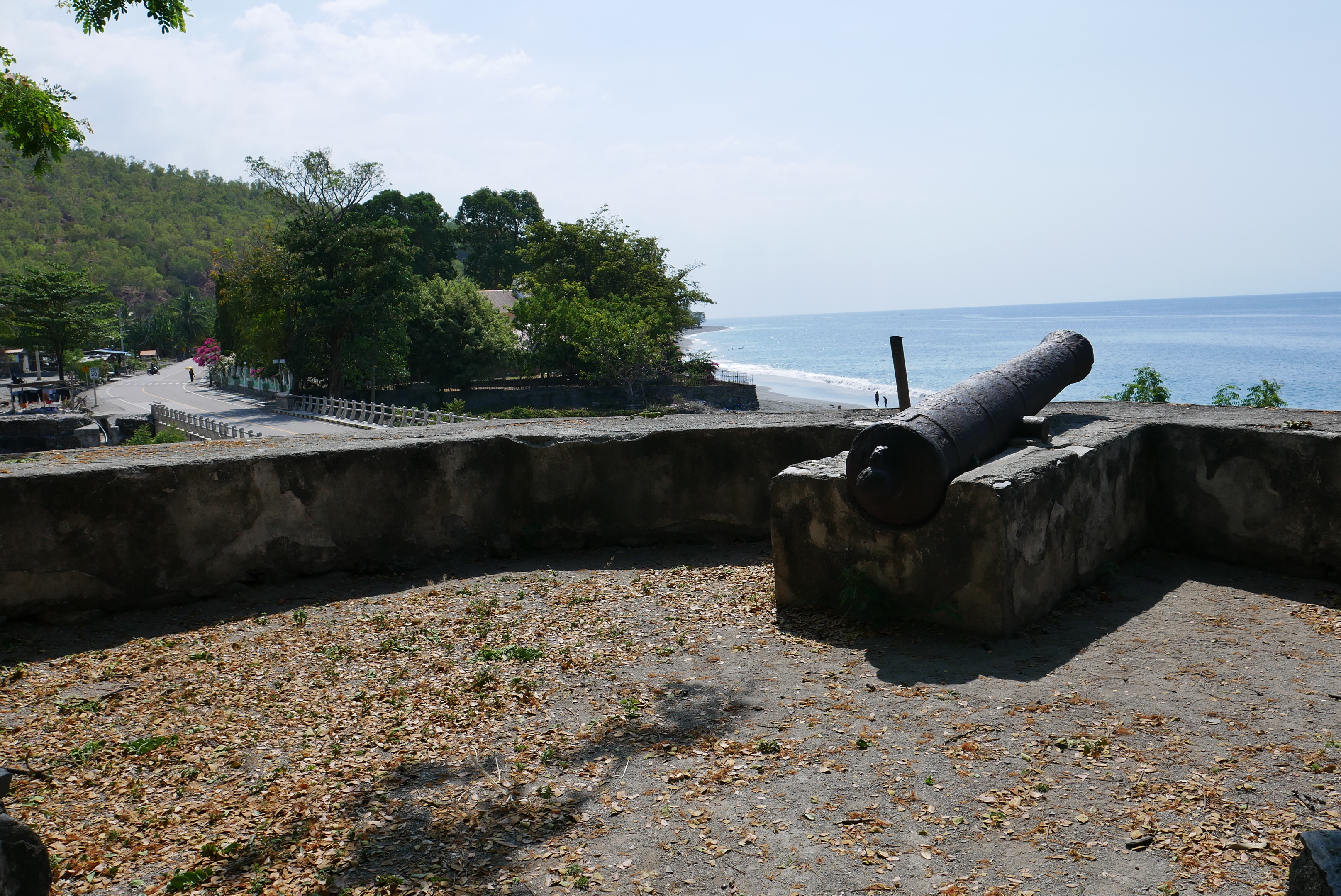 cannon