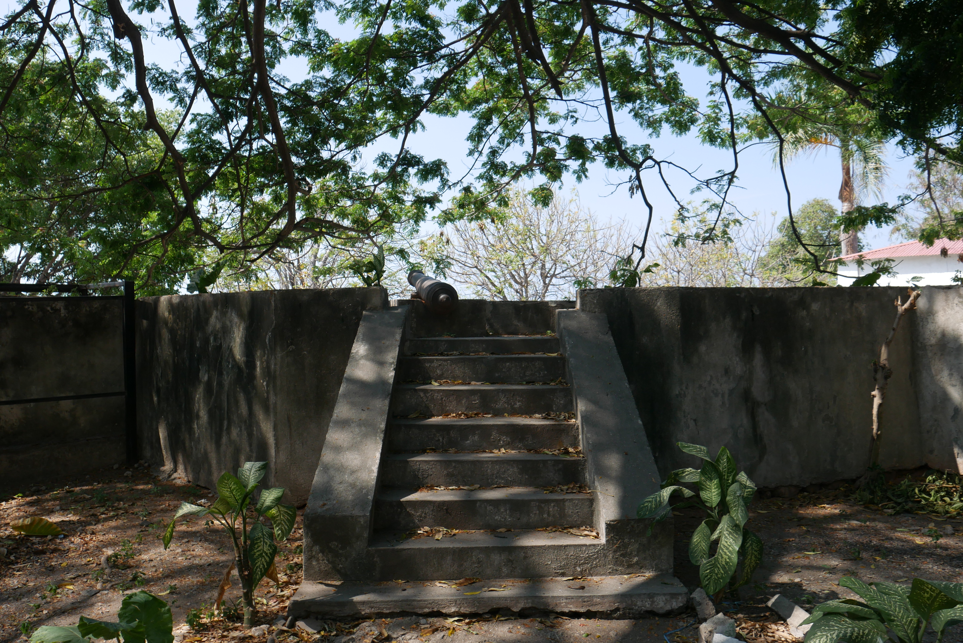 cannonstep