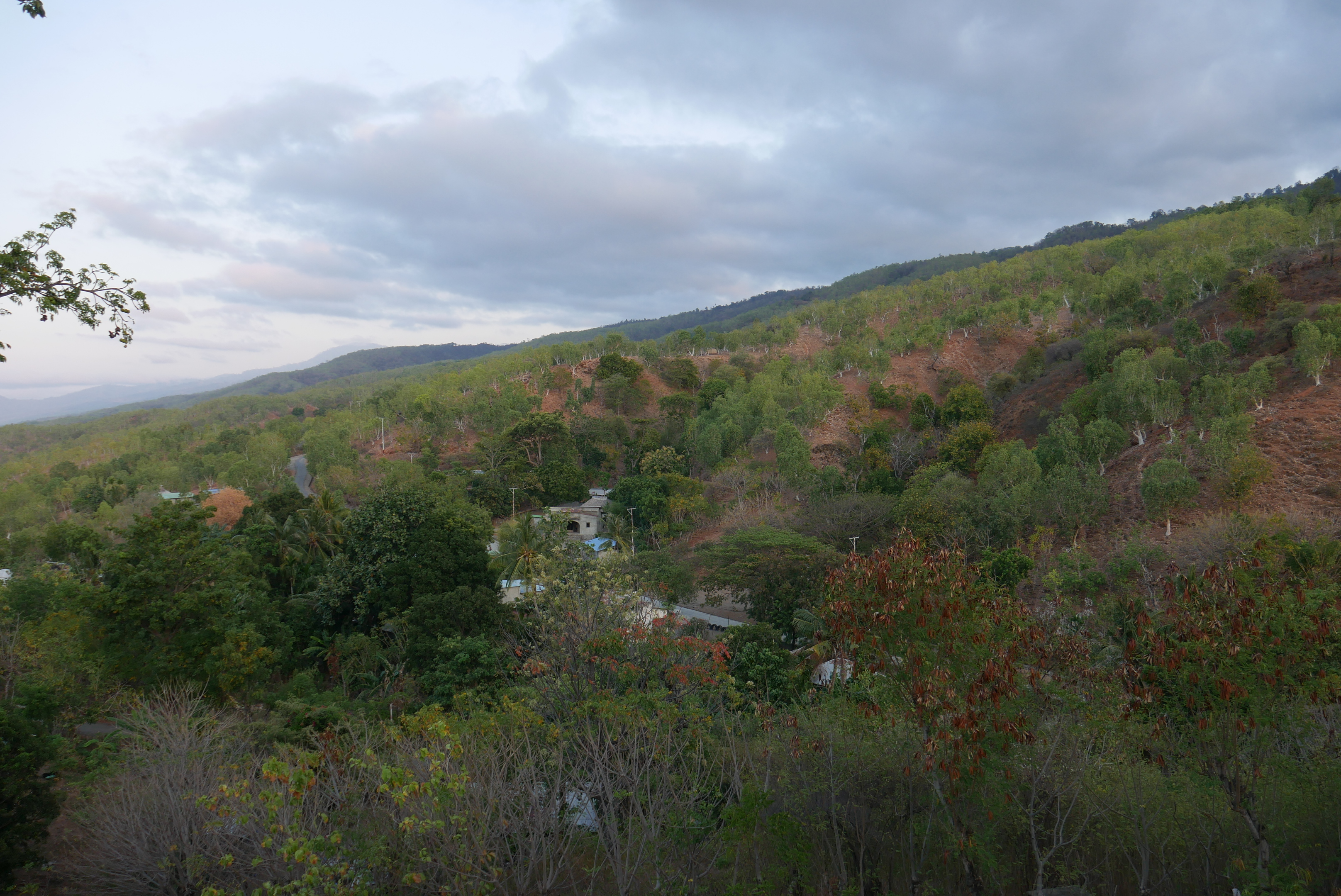 hills