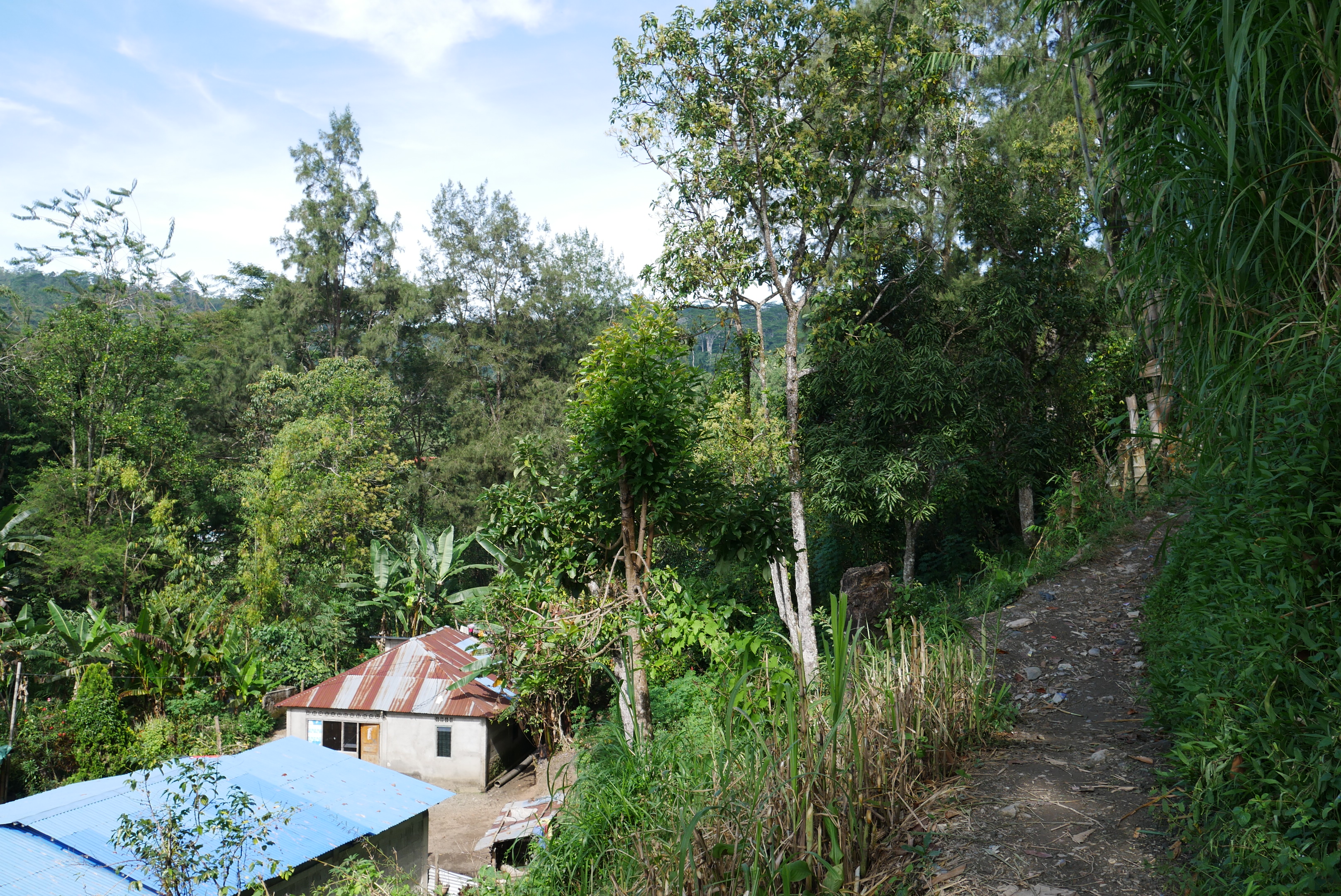 path to Ermera market